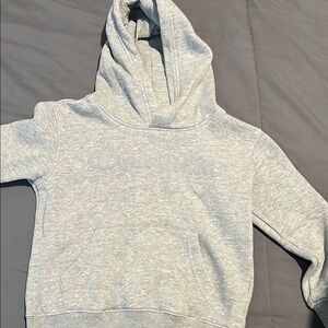 Champion Gray Hoodie